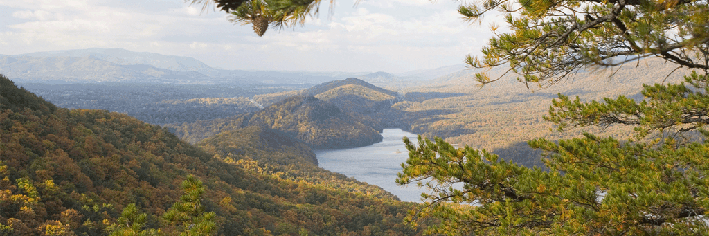 View looking over Carvin's Cove